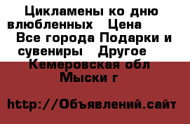 Цикламены ко дню влюбленных › Цена ­ 180 - Все города Подарки и сувениры » Другое   . Кемеровская обл.,Мыски г.